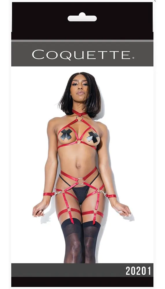 Harness Top & Crotchless Panty Set