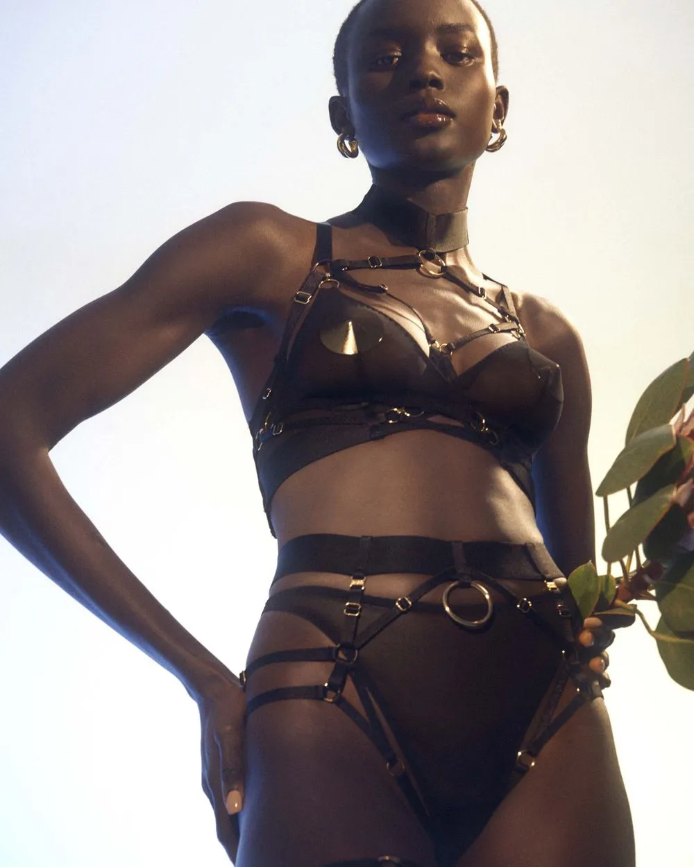 Kora Multi-Style Harness Brief