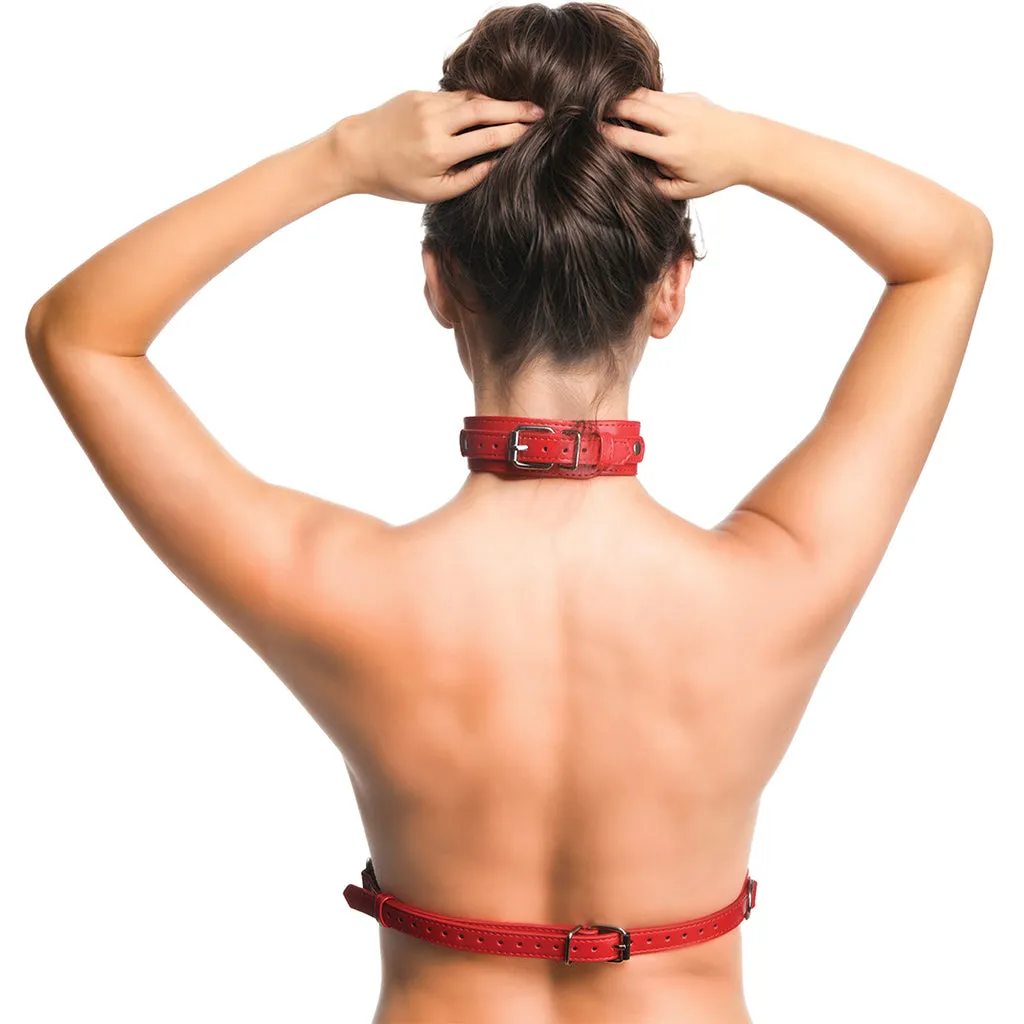 Master Series Vixen Chest Harness in Red