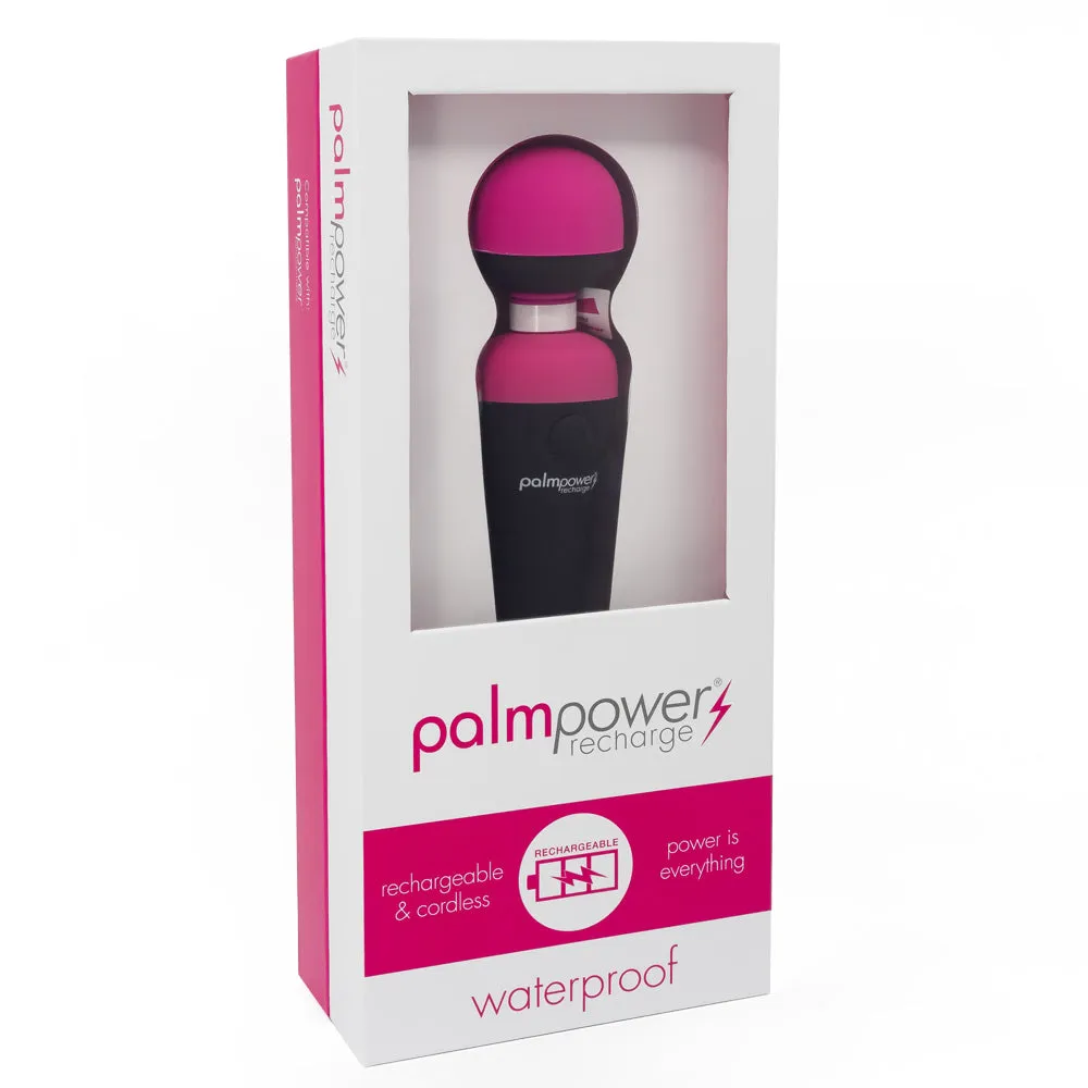 PalmPower Recharge Vibrating Wand Massager