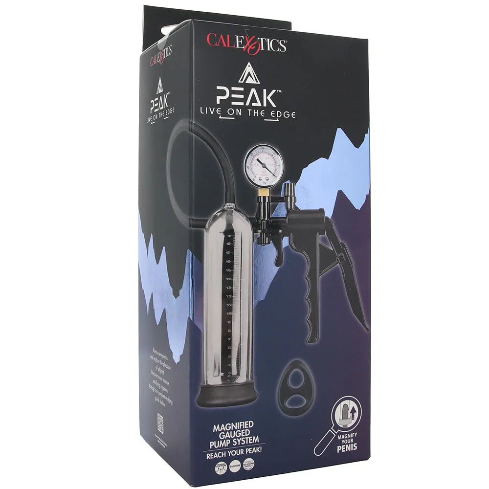 Peak Magnified Gauged Pump System