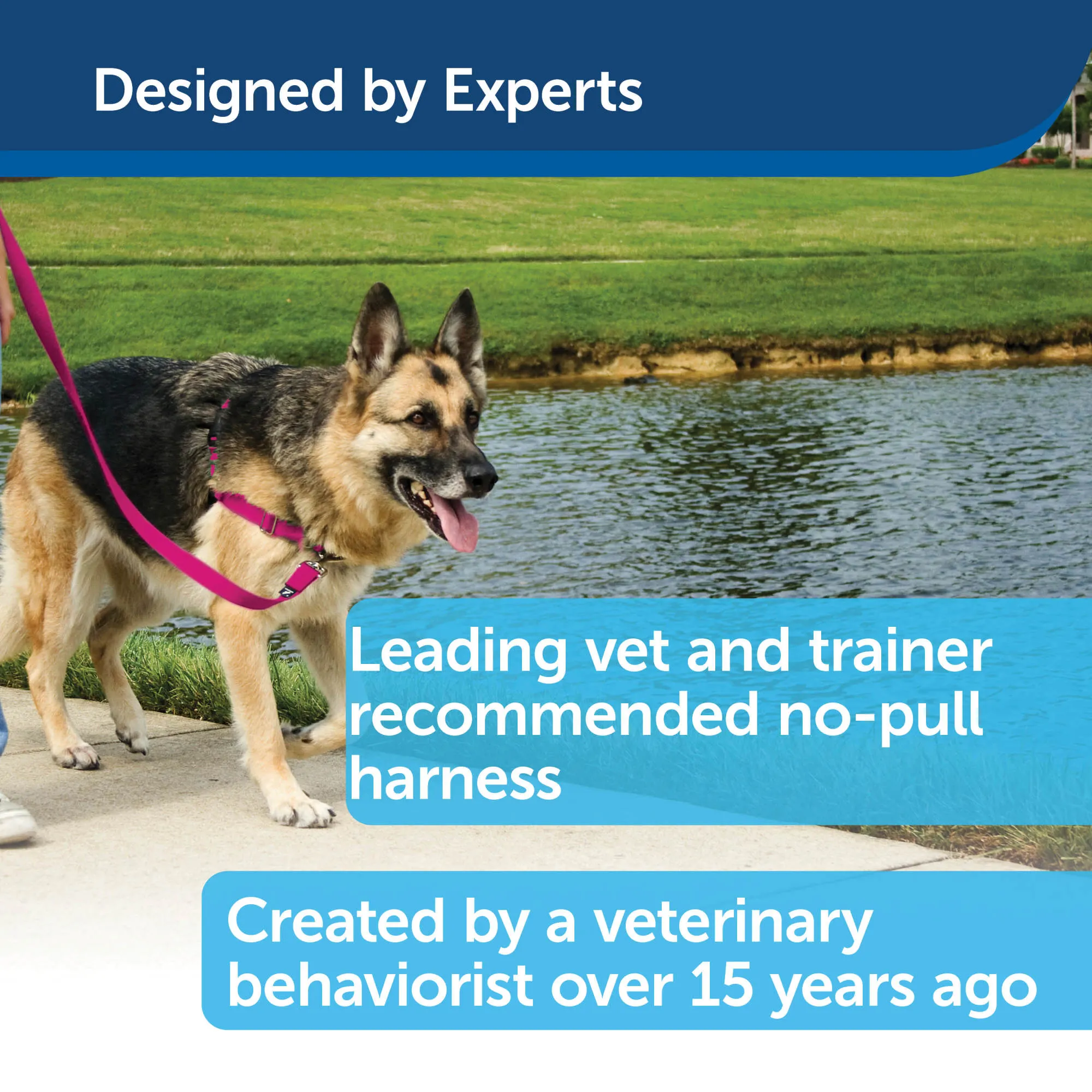 PetSafe Easy Walk Dog Harness - No Pull Dog Harness - Black