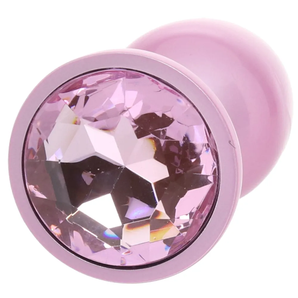 Rear Assets Pink Metal Butt Plug in Small