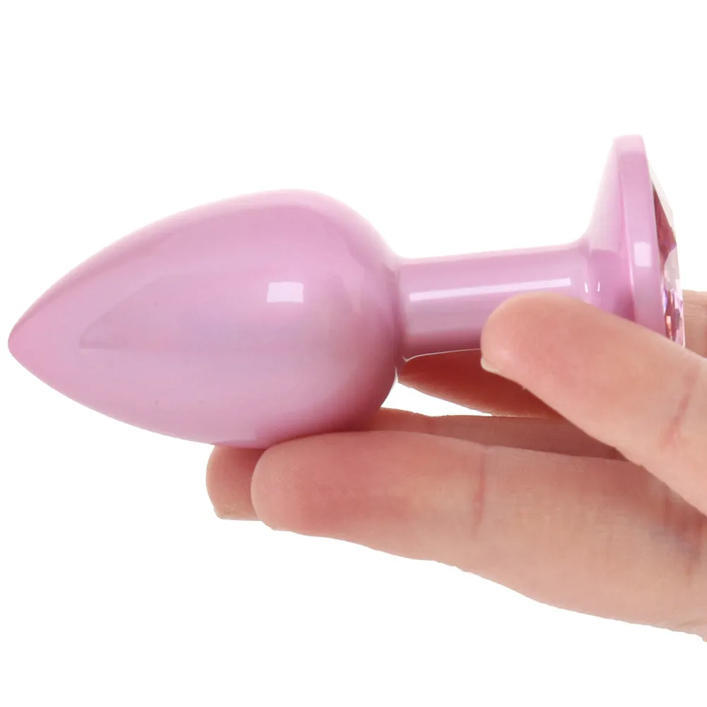 Rear Assets Pink Metal Butt Plug in Small