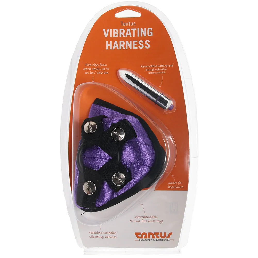 Velvet Vibrating Bullet Harness in Purple
